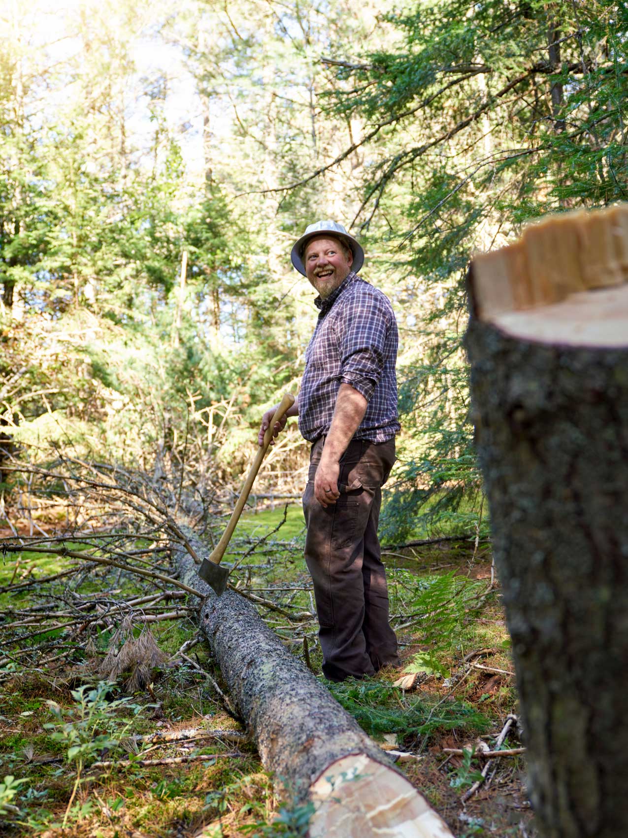 Tree Trimming With An Axe